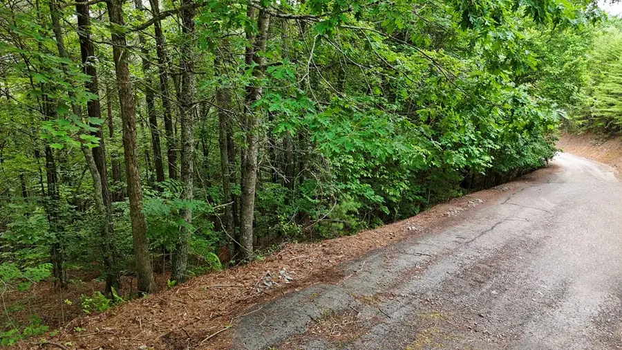 00 Choctaw Ridge Trail, Murphy, NC 28906 - #2