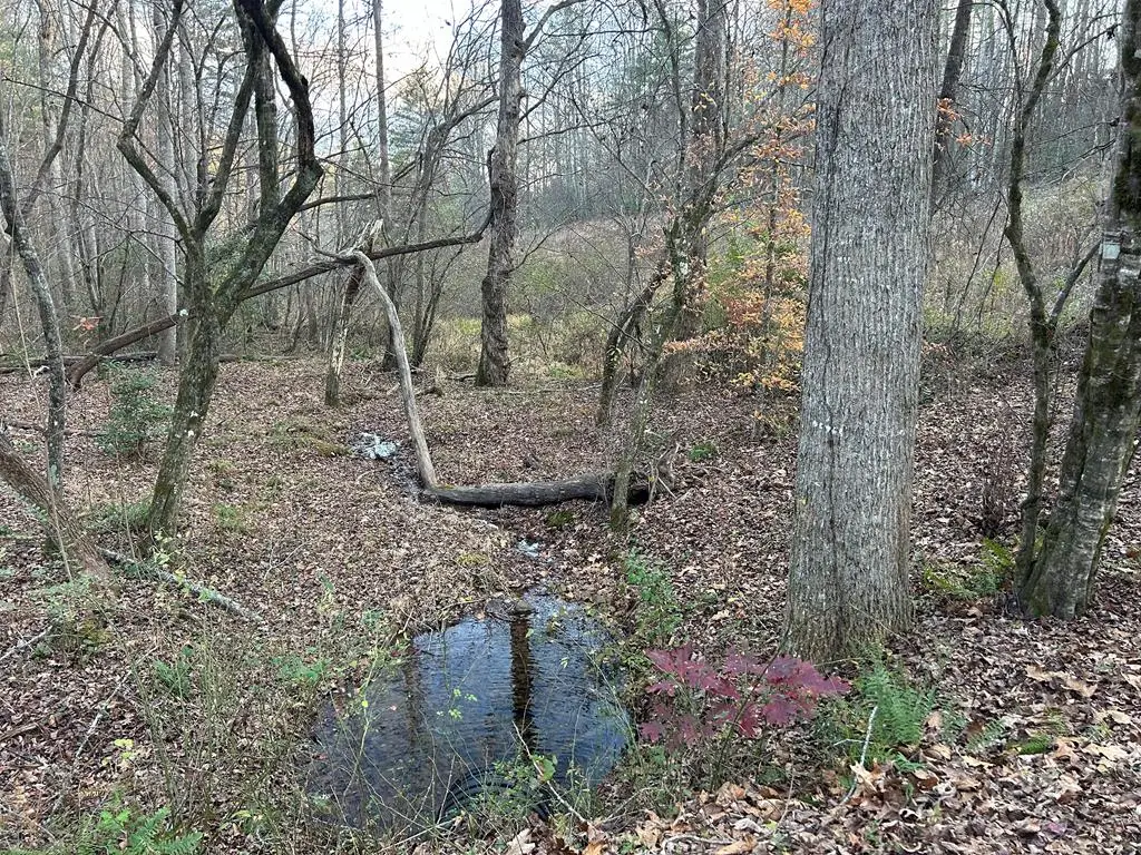 Lot 12 Tombstone Drive, Blairsville, GA 30512 - #1