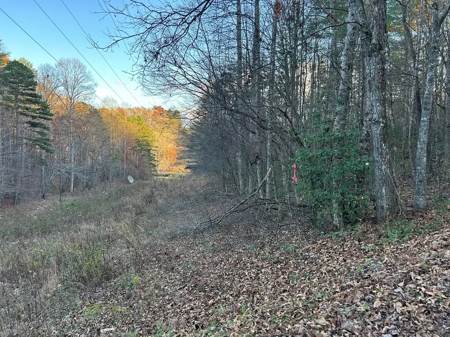 Lot 12 Tombstone Drive, Blairsville, GA 30512 - #3