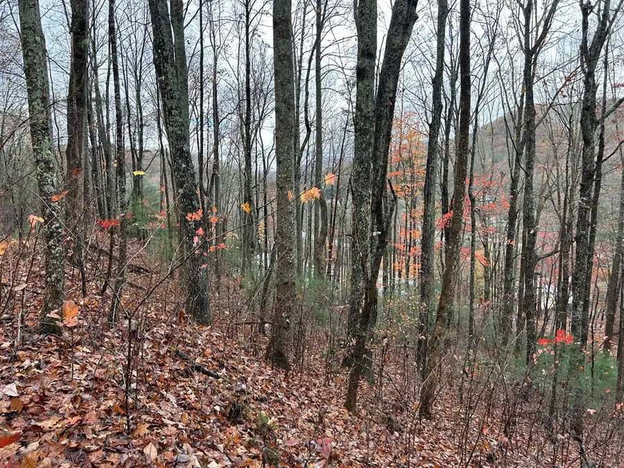 Lt12&13 Butternut Grove Road, Blairsville, GA 30512 - #3