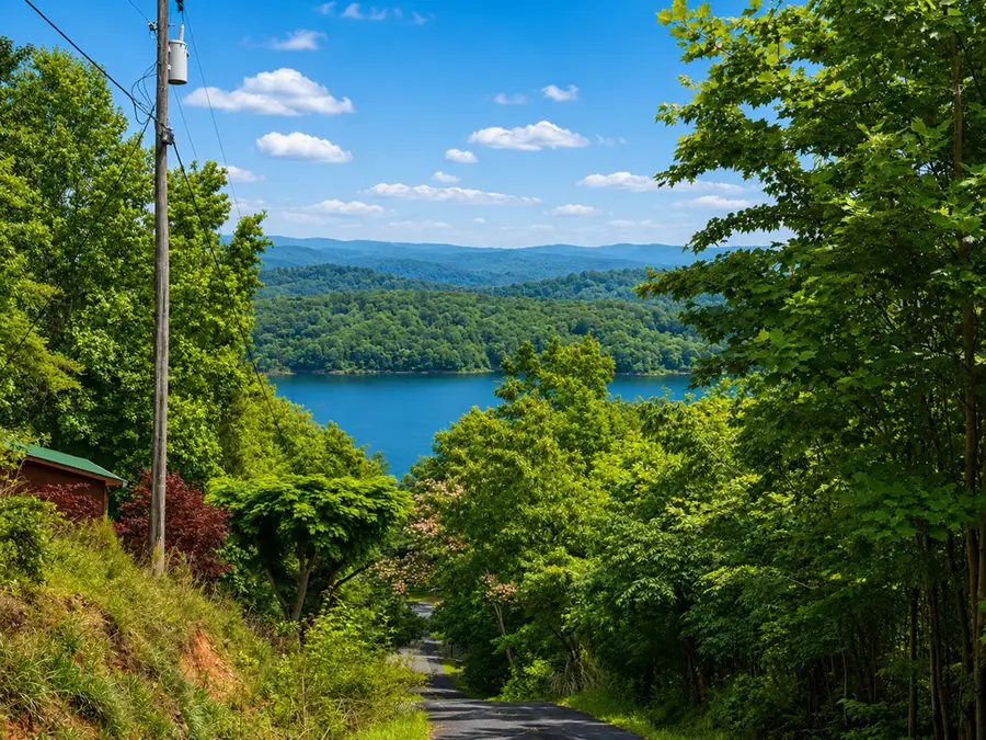 181 Cindy Lane, Ellijay, GA 30540 - #2