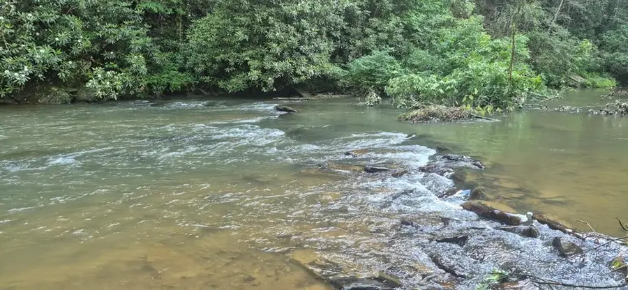 Lot 4 Roaring Forks Lane, Ellijay, GA 30540 - #3