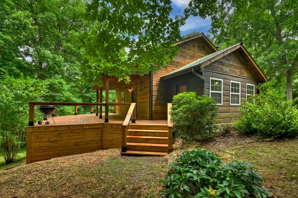 665 Shady Lane, Mineral Bluff, GA 30559 - #1