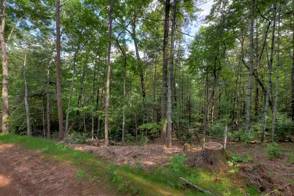 00 Sugar Creek Road, Blue Ridge, GA 30513
