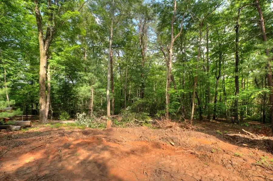 00 Sugar Creek Road, Blue Ridge, GA 30513 - #3