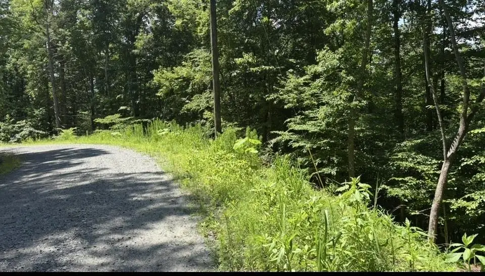LOT 780 Omen Circle, Ellijay, GA 30540 - #1