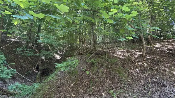 Lot 1178 Optic Court, Ellijay, GA 30540