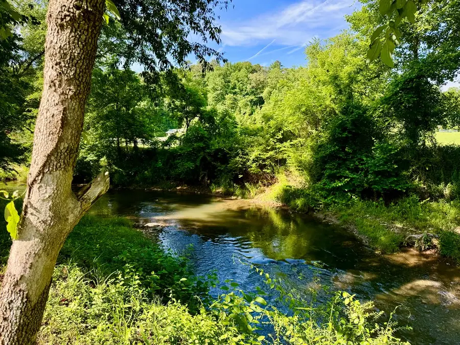 6389 Old Hwy 64w, Warne, NC 28909 - #2