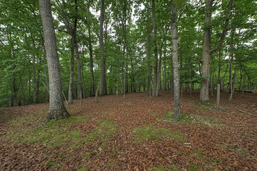 1076 Riverview Drive, Ellijay, GA 30540 - #2