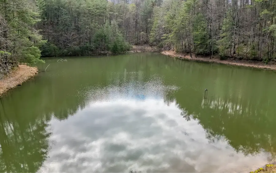 60 Clubhouse Court, Ellijay, GA 30536 - #3
