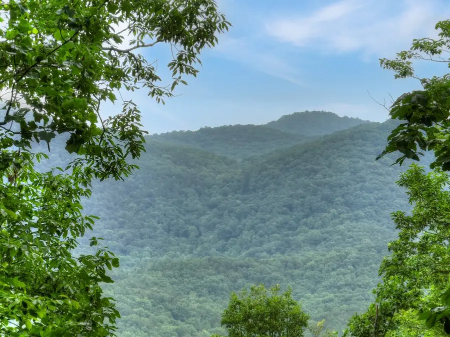 415 Walnut Mountain Road, Ellijay, GA 30536 - #3