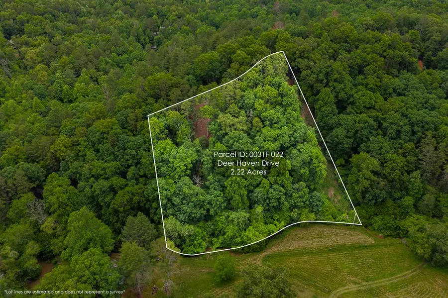 9 Deer Haven Drive, Morganton, GA 30560 - #3