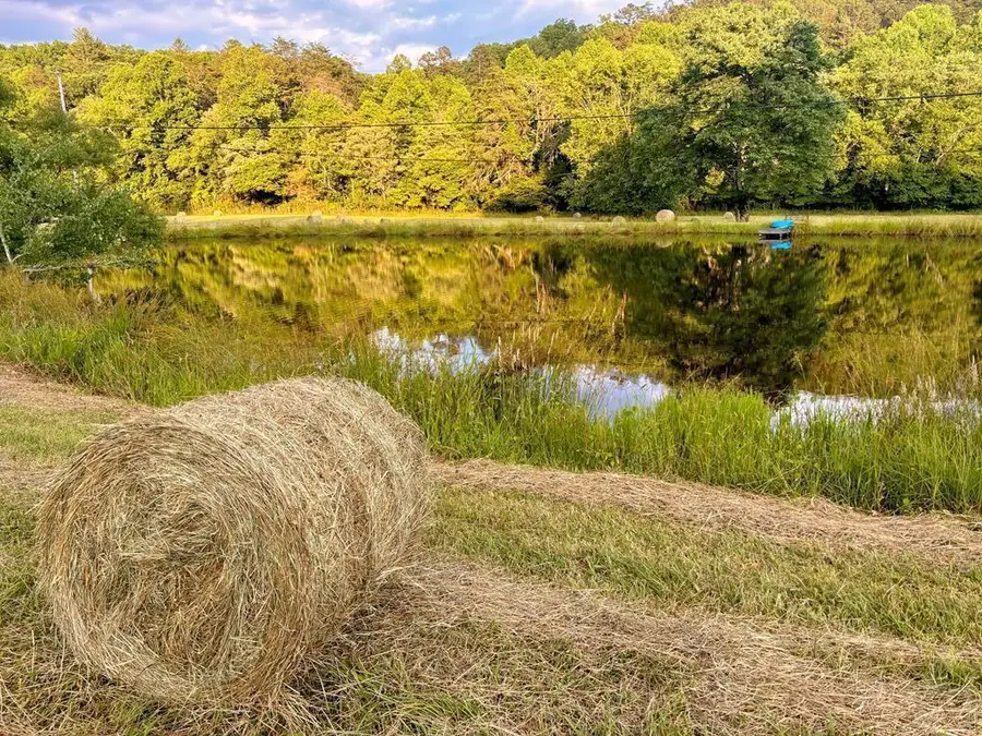 138 Wolf Creek Estates, Mineral Bluff, GA 30559 - #2