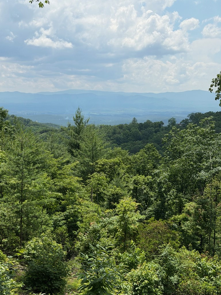 340 Lazy Country Cove Road, Hothouse, NC 29806 - #3