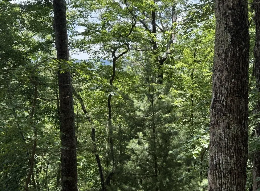 Lot 2607 Magnet Court, Ellijay, GA 30540 - #2