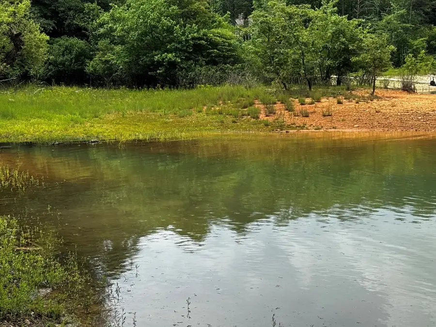 1.79 AC Nottely Dam Road, Blairsville, GA 30512 - #2