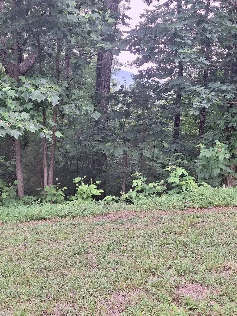 274 Andes Ridge, Morganton, GA 30560 - #1