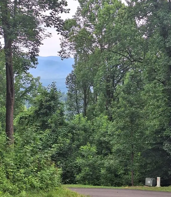 274 Andes Ridge, Morganton, GA 30560