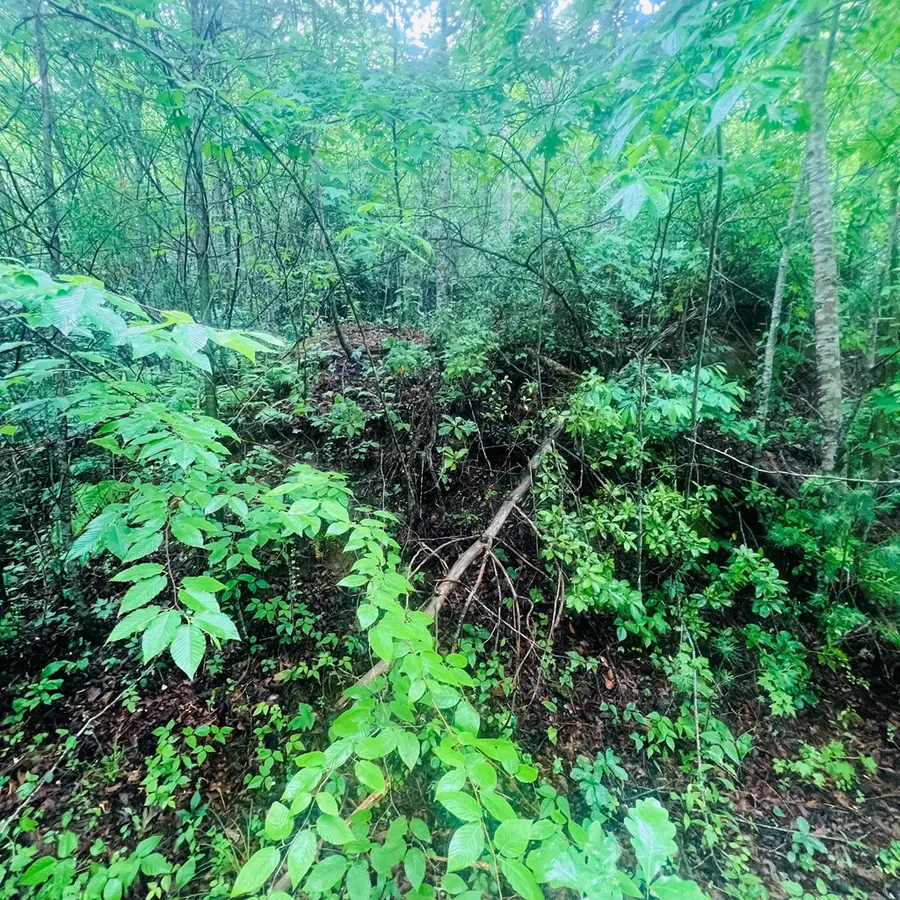 00 Owl Creek Ridge, Murphy, NC 28906 - #3
