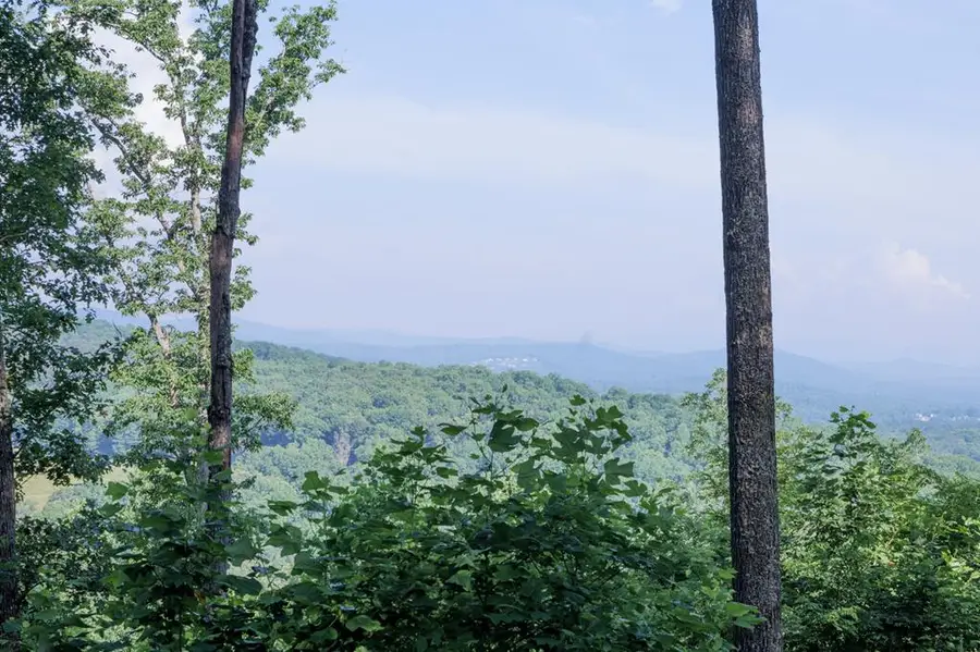 90 Winding Ridge, Blairsville, GA 30512 - #2