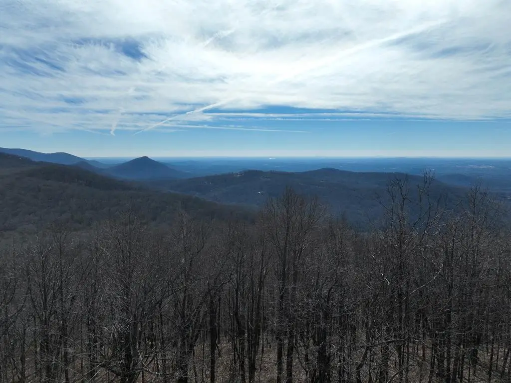 256 Blood Root Trail, Ellijay, GA 30536 - #1