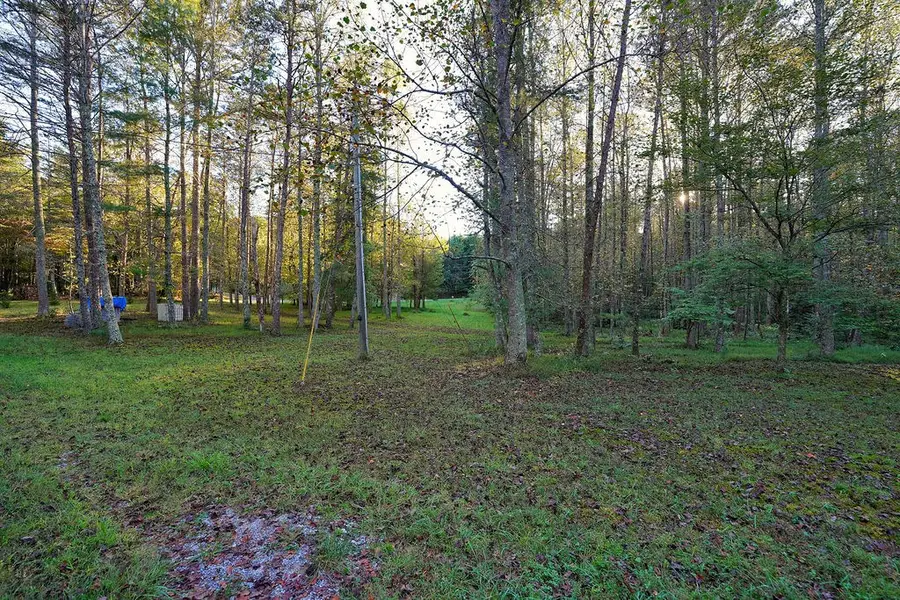 1841 Old Bucktown Road, Ellijay, GA 30536 - #3