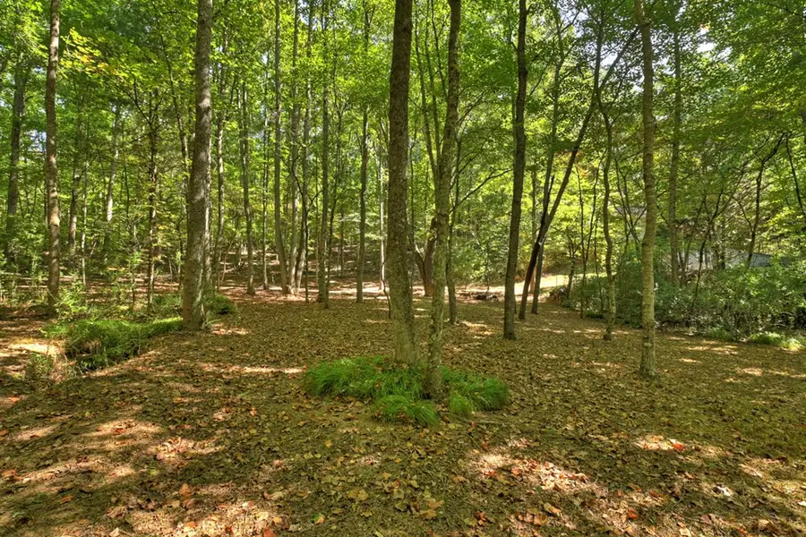 191 Barker Lane, Morganton, GA 30560 - #3