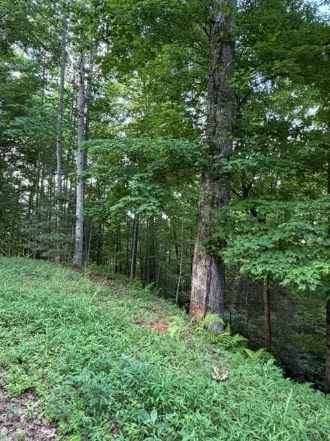 Lot 59 Quiet Mountain Trail, Murphy, NC 28906 - #1