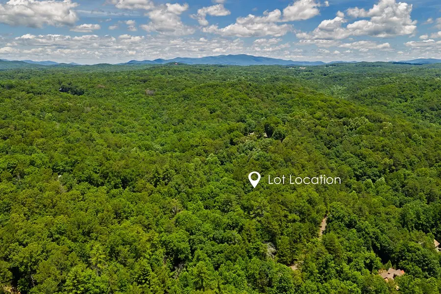 Lot 101R Mountain Creek Hollow Drive, Talking Rock, GA 30175 - #3