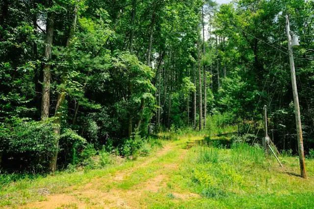 Lot 11 Quail Cove Circle, Warne, NC 28909 - #1
