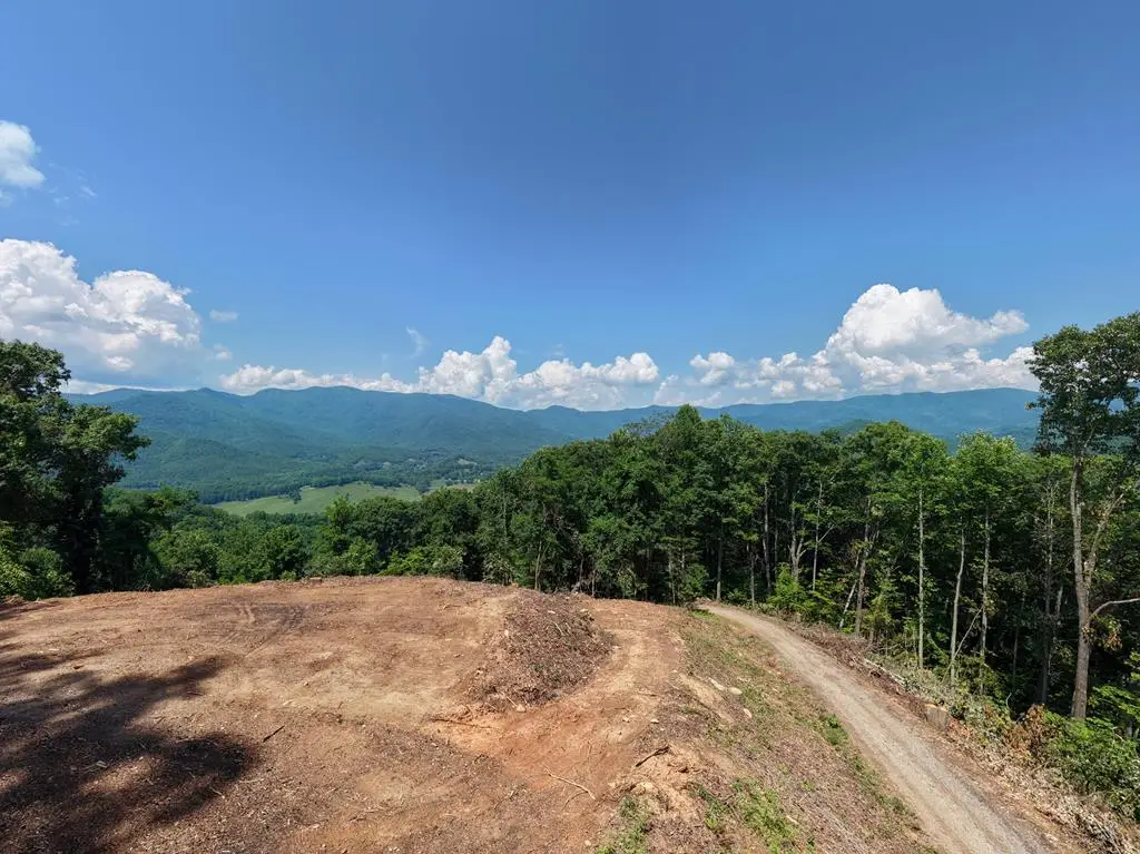 LOT 125 Shiloh Drive, Hayesville, NC 28904 - #1