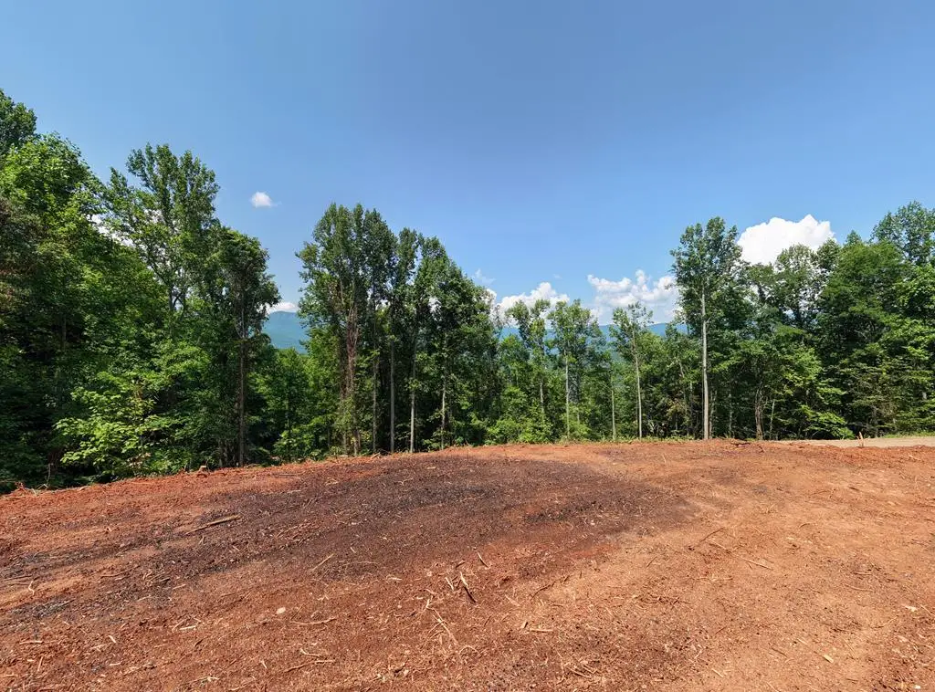 LOT 123 Shiloh Drive, Hayesville, NC 28904 - #1