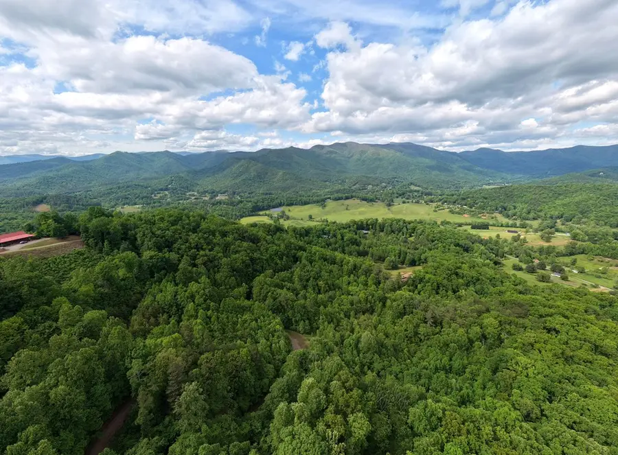 LOT 123 Shiloh Drive, Hayesville, NC 28904 - #2