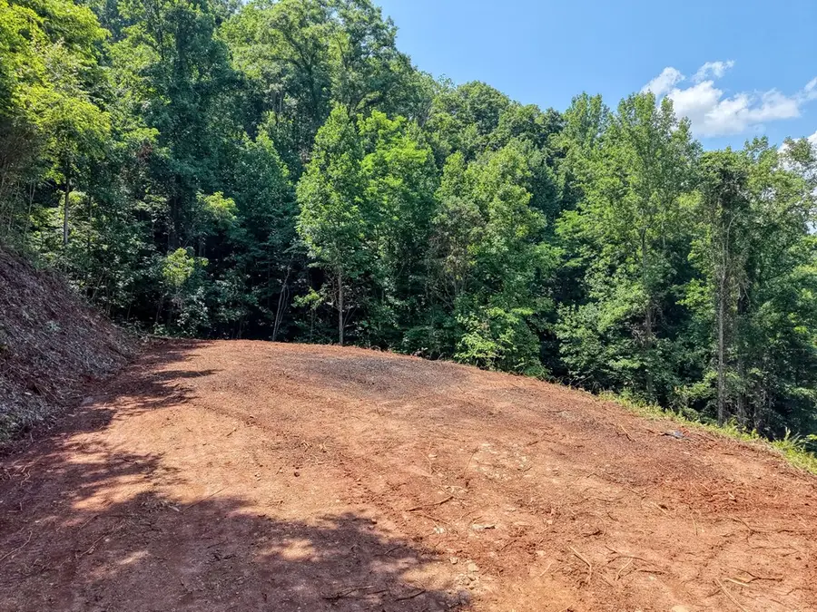 LOT 123 Shiloh Drive, Hayesville, NC 28904 - #3