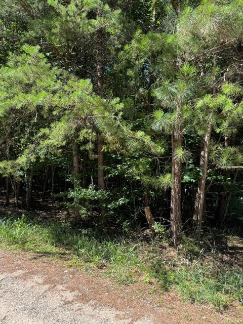 0 Southern Pines Drive, Ellijay, GA 30540