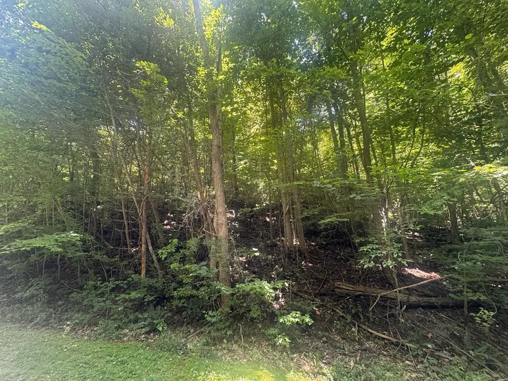 2.33 acr Flat Rock Valley Road, Blairsville, GA 30512 - #1