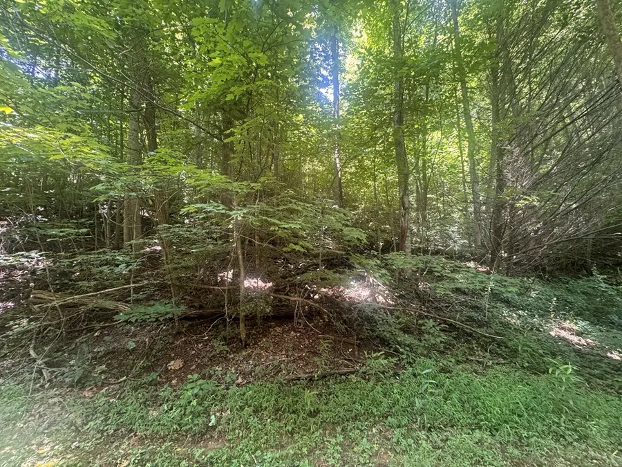 2.33 acr Flat Rock Valley Road, Blairsville, GA 30512 - #2