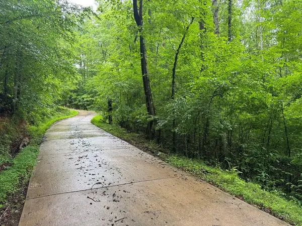 1.23 AC Bear Run Circle, Ellijay, GA 30540