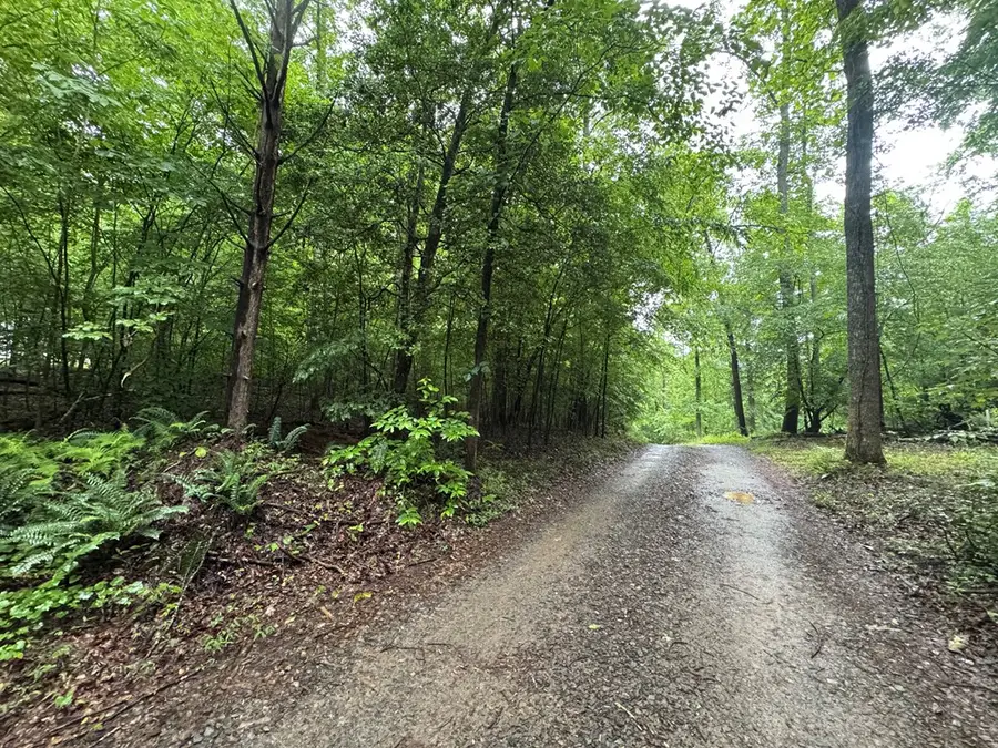 1.23 AC Bear Run Circle, Ellijay, GA 30540 - #3