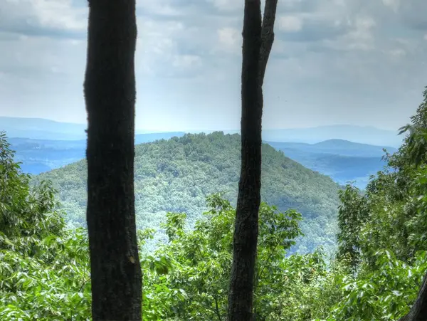 388 Walnut Ridge, Ellijay, GA 30536