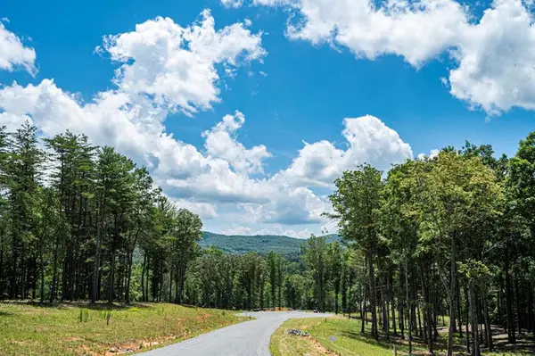 LT 151 The Ridges, Morganton, GA 30560