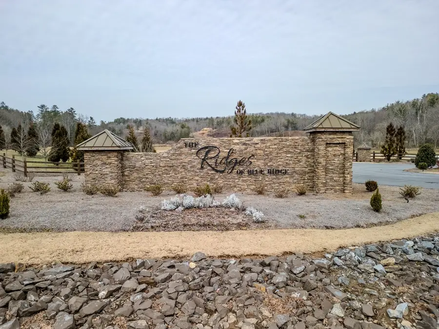 LT 151 The Ridges, Morganton, GA 30560 - #2