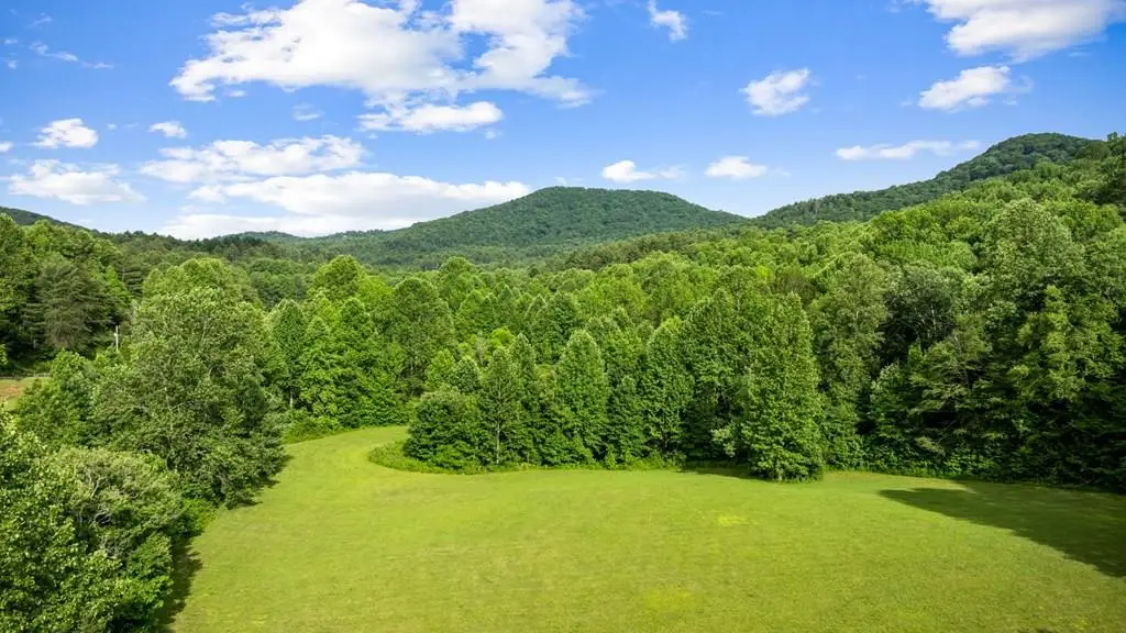 225 Cohutta Ranch Road, Blue Ridge, GA 30513 - #1