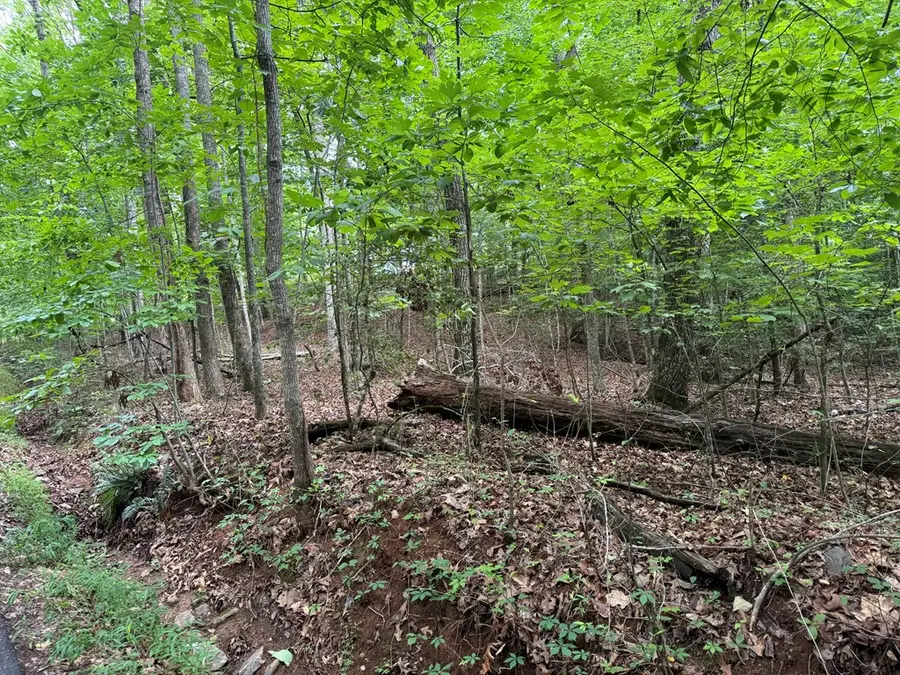 25 Mccracken Cove Road, Hayesville, NC 28904 - #2