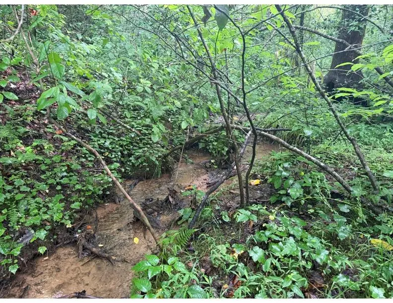 4.1 Ac Charlotte Mountain Road, Ellijay, GA 30540 - #1
