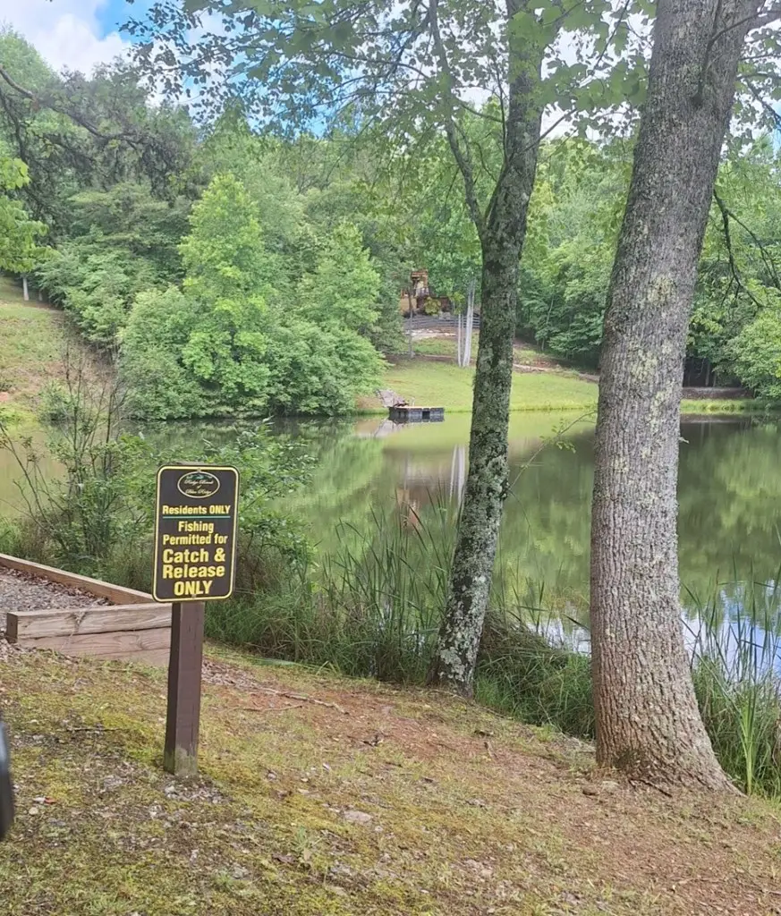 0 Meadow Brook Trail, Morganton, GA 30560 - #3