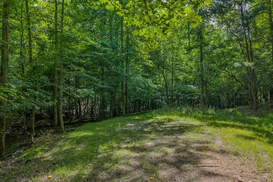 Lot 2800 Medina Court, Ellijay, GA 30540 - #2