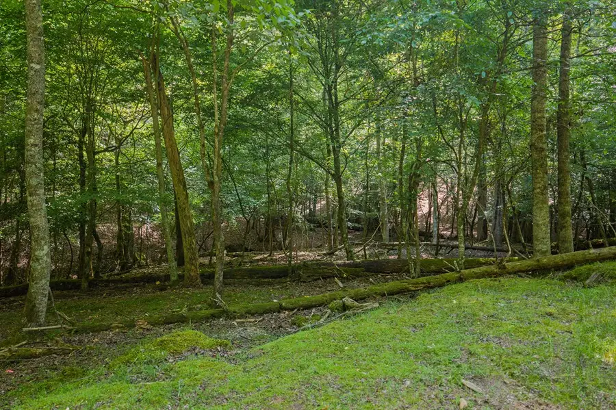Lot 2800 Medina Court, Ellijay, GA 30540 - #3