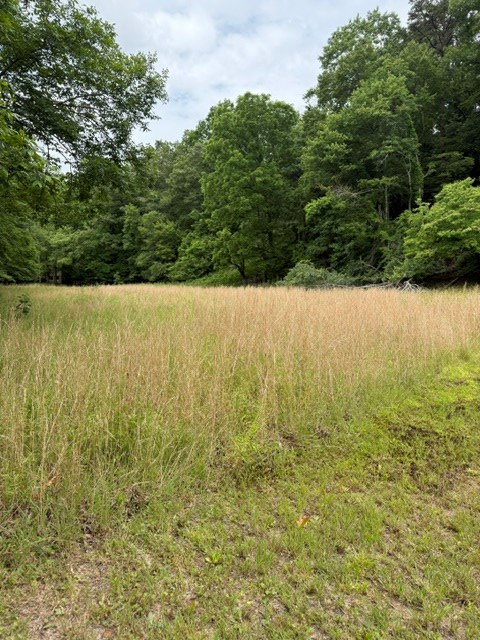 00 Patton Drive, Hayesville, NC 28904 - #2