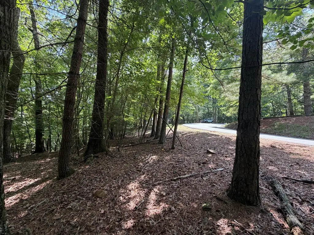 3545 Newport Drive, Ellijay, GA 30540 - #1
